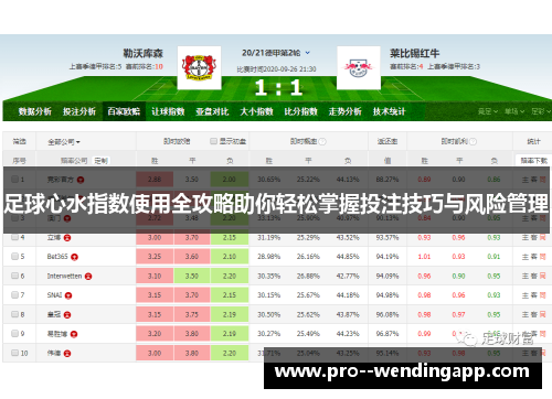 足球心水指数使用全攻略助你轻松掌握投注技巧与风险管理