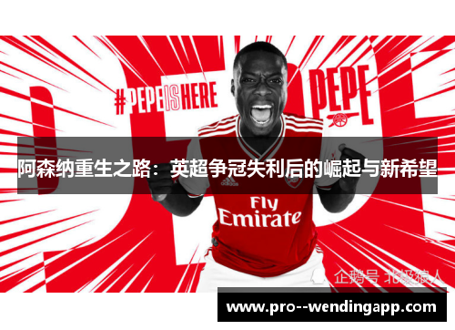 阿森纳重生之路：英超争冠失利后的崛起与新希望