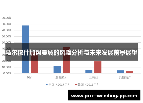 马尔穆什加盟曼城的风险分析与未来发展前景展望