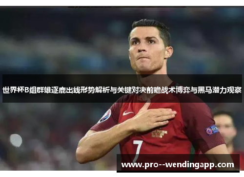 世界杯B组群雄逐鹿出线形势解析与关键对决前瞻战术博弈与黑马潜力观察